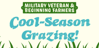 Free workshop to focus on fall and winter grazing strategies for livestock – Aug. 21