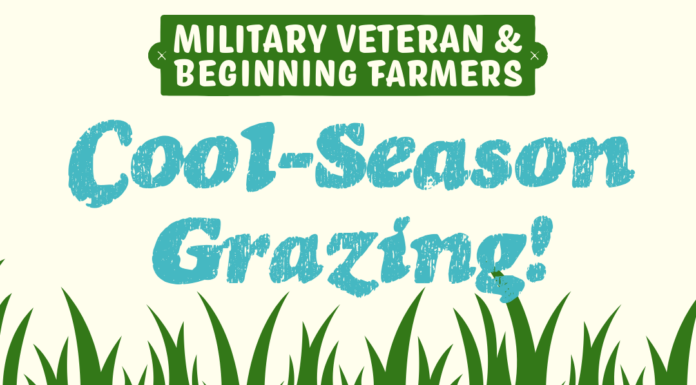 Free workshop to focus on fall and winter grazing strategies for livestock – Aug. 21