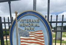 Trees slated to be removed for drone installation