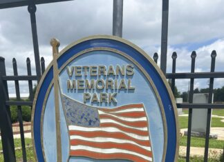 Trees slated to be removed for drone installation