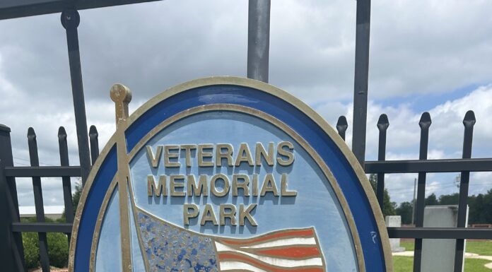 Trees slated to be removed for drone installation