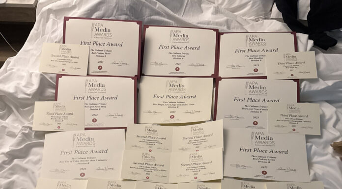 The Tribune brings home 41 APA Awards
