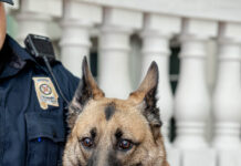 ALEA mourns loss of active K-9 Bella