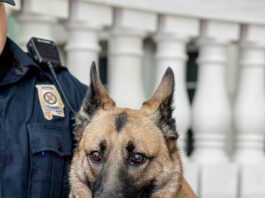 ALEA mourns loss of active K-9 Bella