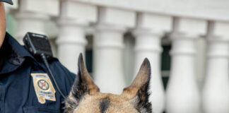 ALEA mourns loss of active K-9 Bella