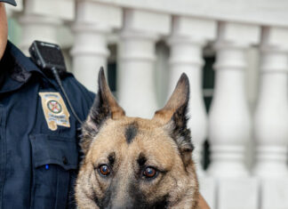 ALEA mourns loss of active K-9 Bella
