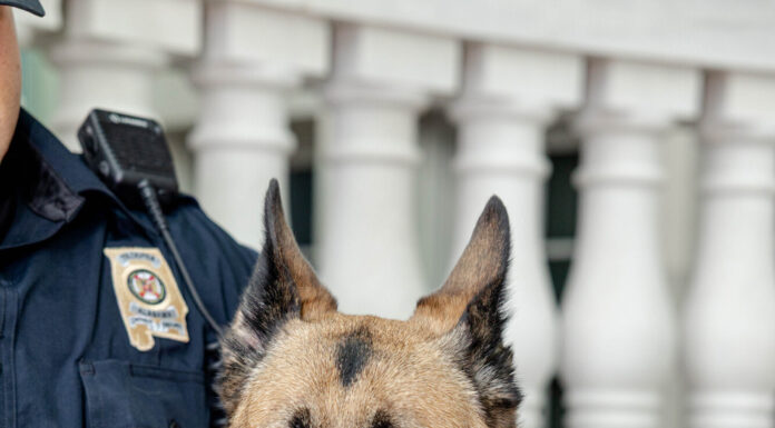 ALEA mourns loss of active K-9 Bella