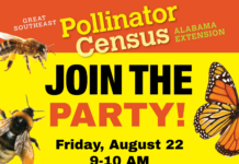 Bee Counted: Pollinator Count Party set for Aug. 22 at Agriplex