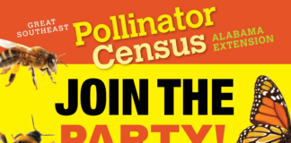 Bee Counted: Pollinator Count Party set for Aug. 22 at Agriplex