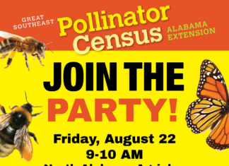Bee Counted: Pollinator Count Party set for Aug. 22 at Agriplex