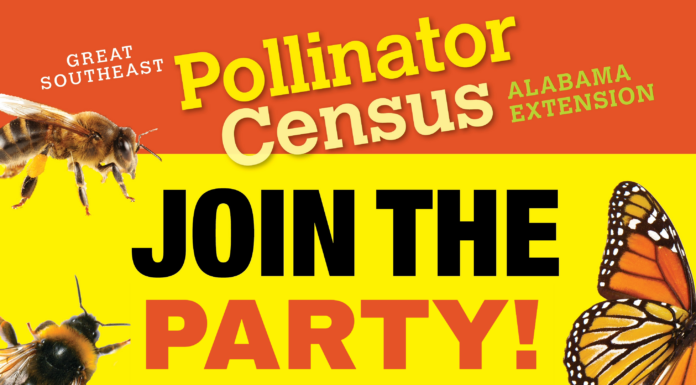 Bee Counted: Pollinator Count Party set for Aug. 22 at Agriplex