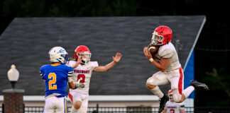 PREP FOOTBALL: Vinemont falls at Falkville 22-6