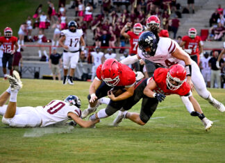 PREP FOOTBALL: Vinemont falls to Southeastern 34-14