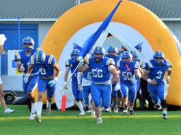 PREP FOOTBALL: Cold Springs falls at Falkville, 28-22