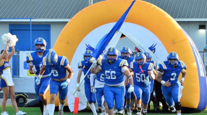 PREP FOOTBALL: Cold Springs falls at Falkville, 28-22