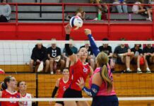 PREP VOLLEYBALL: Vinemont sweeps tri-match with J.B. Pennington, Corner