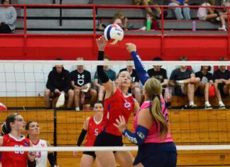 PREP VOLLEYBALL: Vinemont sweeps tri-match with J.B. Pennington, Corner