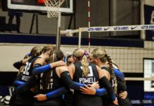 PREP VOLLEYBALL: Addison downs Danville at home 3-1