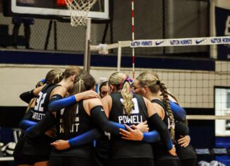 PREP VOLLEYBALL: Addison downs Danville at home 3-1