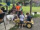 Welcome Homestead hosts fall gardening event