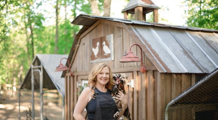 Local heroes: Judy Snead and the impact of Snead’s Farmhouse