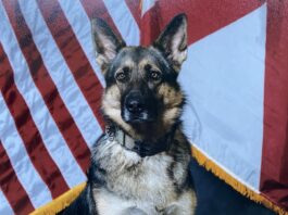 ALEA honors life and service of retired K-9 Pici