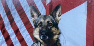 ALEA honors life and service of retired K-9 Pici