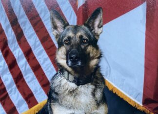 ALEA honors life and service of retired K-9 Pici
