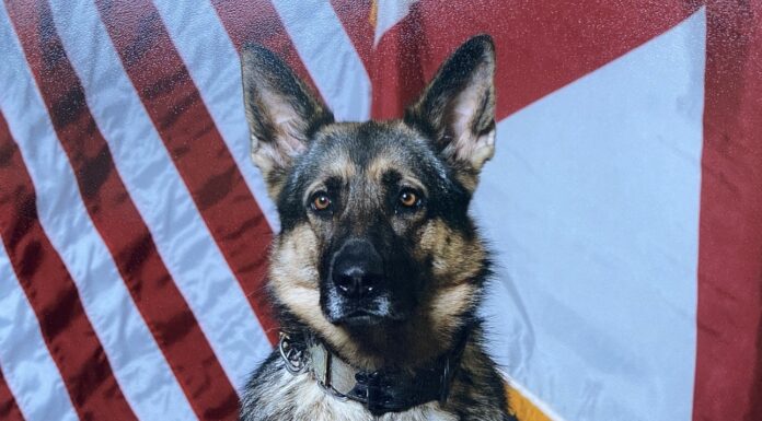 ALEA honors life and service of retired K-9 Pici