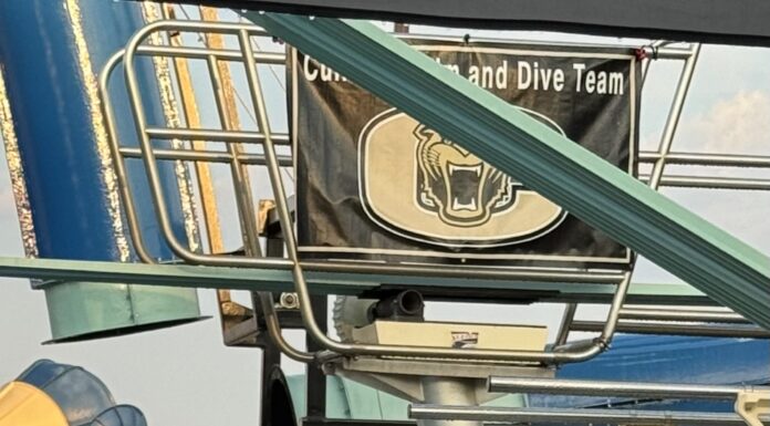 PREP SWIMMING: Cullman sweeps Bearcat Sprint Invitational