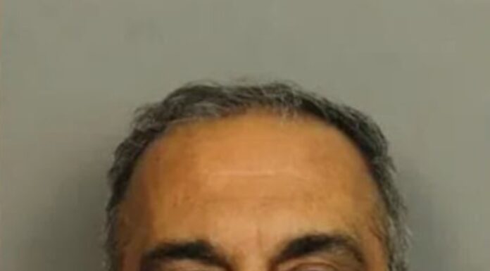 Hoover man pleads guilty in attempt to hire hitman to murder wife, 6 childrenÂ