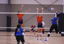 WSCC VOLLEYBALL: Wallace State sweeps Snead State for 6th straight conference win