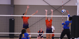 WSCC VOLLEYBALL: Wallace State sweeps Snead State for 6th straight conference win