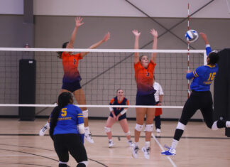 WSCC VOLLEYBALL: Wallace State sweeps Snead State for 6th straight conference win