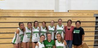 PREP VOLLEYBALL: Holly Pond topples Vinemont 3-1 for area win