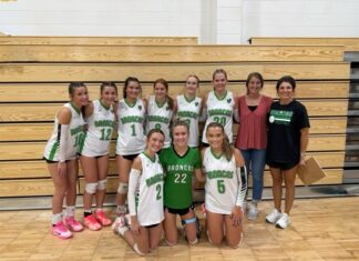 PREP VOLLEYBALL: Holly Pond topples Vinemont 3-1 for area win