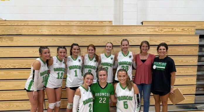 PREP VOLLEYBALL: Holly Pond topples Vinemont 3-1 for area win