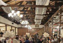 Victim Services announces new name: The Willow Path