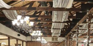 Victim Services announces new name: The Willow Path