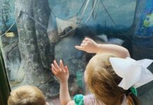 Op-Ed: Woe to the little eyes haunted by social media