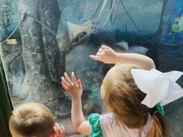 Op-Ed: Woe to the little eyes haunted by social media