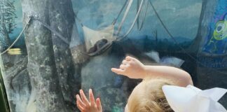 Op-Ed: Woe to the little eyes haunted by social media