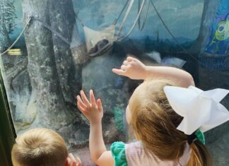 Op-Ed: Woe to the little eyes haunted by social media