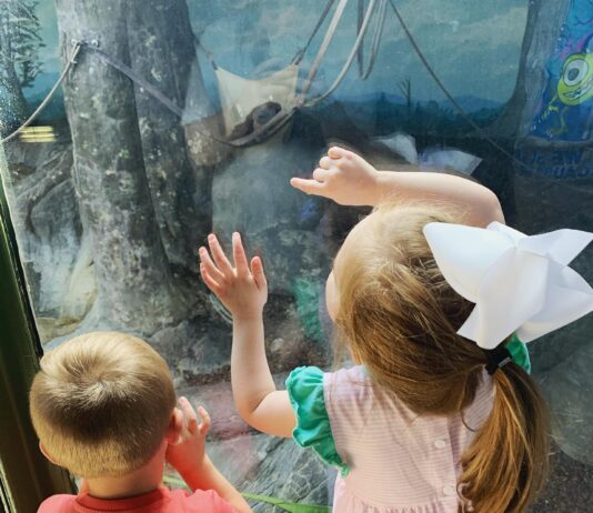 Op-Ed: Woe to the little eyes haunted by social media