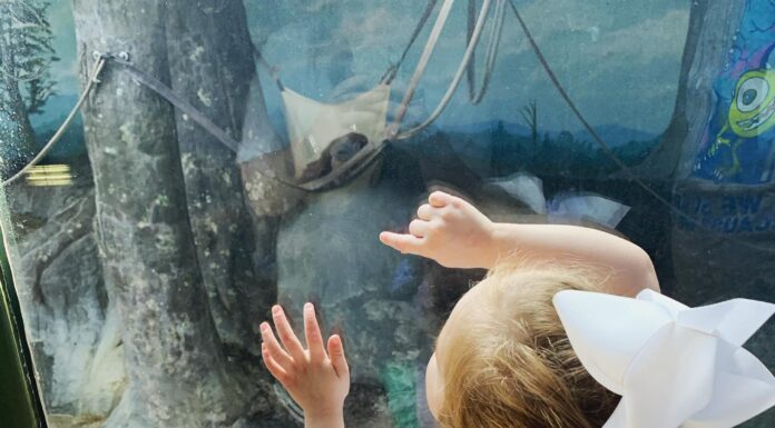 Op-Ed: Woe to the little eyes haunted by social media