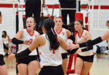 COUNTY VOLLEYBALL TOURNAMENT: Fairview, Vinemont, Good Hope advance to semifinals