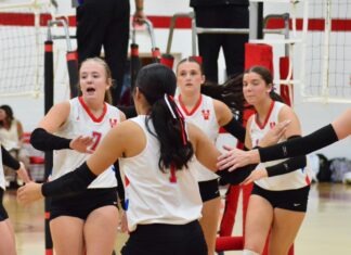 COUNTY VOLLEYBALL TOURNAMENT: Fairview, Vinemont, Good Hope advance to semifinals