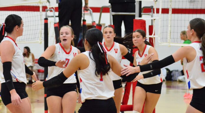 COUNTY VOLLEYBALL TOURNAMENT: Fairview, Vinemont, Good Hope advance to semifinals