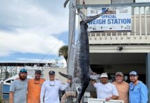 Trade Desk’s unexpected catch results in state record swordfish
