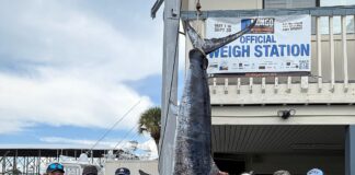 Trade Desk’s unexpected catch results in state record swordfish